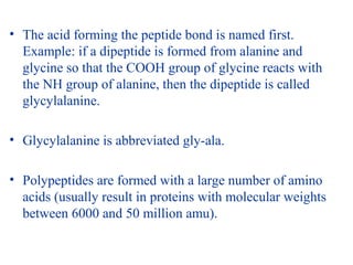 • The acid forming the peptide bond is named first.
Example: if a dipeptide is formed from alanine and
glycine so that the COOH group of glycine reacts with
the NH group of alanine, then the dipeptide is called
glycylalanine.
• Glycylalanine is abbreviated gly-ala.
• Polypeptides are formed with a large number of amino
acids (usually result in proteins with molecular weights
between 6000 and 50 million amu).
 