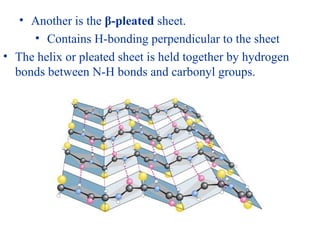 • Another is the β-pleated sheet.
• Contains H-bonding perpendicular to the sheet
• The helix or pleated sheet is held together by hydrogen
bonds between N-H bonds and carbonyl groups.
 