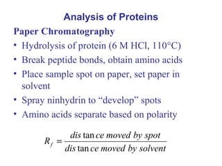 Analysis of Proteins
Paper Chromatography
• Hydrolysis of protein (6 M HCl, 110°C)
• Break peptide bonds, obtain amino acids
• Place sample spot on paper, set paper in
solvent
• Spray ninhydrin to “develop” spots
• Amino acids separate based on polarity
solventbymovedcedis
spotbymovedcedis
Rf
tan
tan
=
 