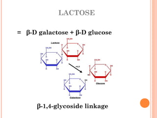 LACTOSE
= β-D galactose + β-D glucose
β-1,4-glycoside linkage
 