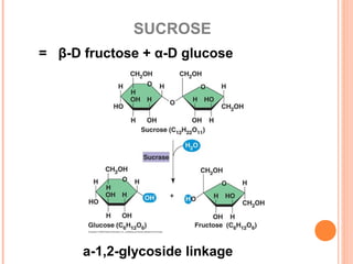 SUCROSE
= β-D fructose + α-D glucose
a-1,2-glycoside linkage
 