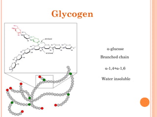 Glycogen
α-glucose
Branched chain
Water insoluble
α-1,4+α-1,6
 