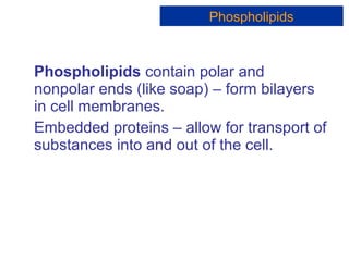 Phospholipids contain polar and
nonpolar ends (like soap) – form bilayers
in cell membranes.
Embedded proteins – allow for transport of
substances into and out of the cell.
Phospholipids
 