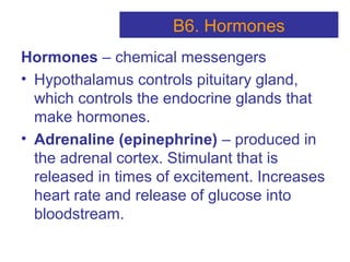 Hormones – chemical messengers
• Hypothalamus controls pituitary gland,
which controls the endocrine glands that
make hormones.
• Adrenaline (epinephrine) – produced in
the adrenal cortex. Stimulant that is
released in times of excitement. Increases
heart rate and release of glucose into
bloodstream.
B6. Hormones
 