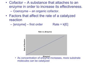 • Cofactor – A substance that attaches to an
enzyme in order to increase its effectiveness.
– Coenzyme – an organic cofactor.
• Factors that affect the rate of a catalyzed
reaction
– [enzyme] – first order Rate = k[E]
• As concentration of enzyme increases, more substrate
molecules can be catalyzed
Rate vs. [Enzyme]
[Enzyme]
RateofReaction
 
