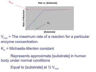 Rate vs. [Substrate]
[Substrate]
RateofReaction
Vmax
Vmax = The maximum rate of a reaction for a particular
enzyme concentration.
Km = Michaelis-Menten constant
Represents approximate [substrate] in human
body under normal conditions
Equal to [substrate] at ½ Vmax
Km
 