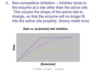 2. Non-competitive inhibition – Inhibitor binds to
the enzyme at a site other than the active site.
This causes the shape of the active site to
change, so that the enzyme will no longer fit
into the active site properly. (heavy metal ions)
Rate vs. [substrate] with Inhibition
[Substrate]
Rate
Uninhibited Competitive Non-competitive
 