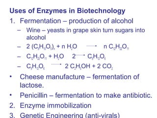 Uses of Enzymes in Biotechnology
1. Fermentation – production of alcohol
– Wine – yeasts in grape skin turn sugars into
alcohol
– 2 (C6H10O5)n + n H2O n C12H22O11
– C12H22O11 + H2O 2 C6H12O6
– C6H12O6 2 C2H5OH + 2 CO2
• Cheese manufacture – fermentation of
lactose.
• Penicillin – fermentation to make antibiotic.
2. Enzyme immobilization
3. Genetic Engineering (anti-virals)
 