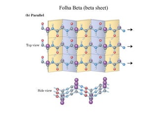 Folha Beta (beta sheet)
 