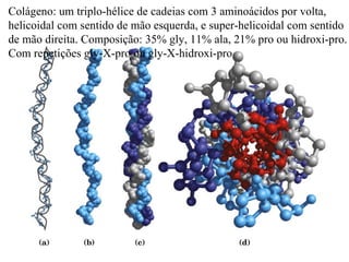 Colágeno: um triplo-hélice de cadeias com 3 aminoácidos por volta,
helicoidal com sentido de mão esquerda, e super-helicoidal com sentido
de mão direita. Composição: 35% gly, 11% ala, 21% pro ou hidroxi-pro.
Com repetições gly-X-pro ou gly-X-hidroxi-pro
 