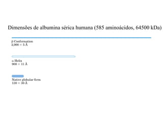 Dimensões de albumina sérica humana (585 aminoácidos, 64500 kDa)
 