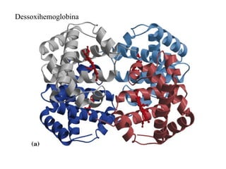 Dessoxihemoglobina
 