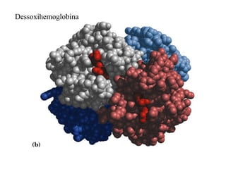 Dessoxihemoglobina
 
