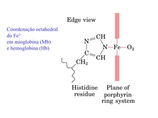 Coordenação octahedral
do Fe2+
em mioglobina (Mb)
e hemoglobina (Hb)
 
