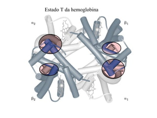 Estado T da hemoglobina
 