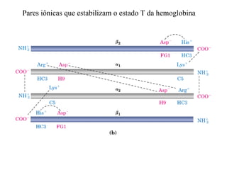 Pares iônicas que estabilizam o estado T da hemoglobina
 