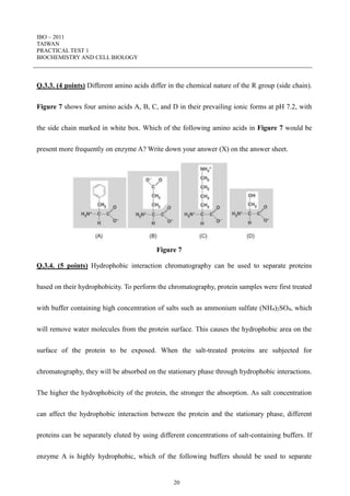 IBO – 2011
TAIWAN
PRACTICAL TEST 1
BIOCHEMISTRY AND CELL BIOLOGY
20
Q.3.3. (4 points) Different amino acids differ in the chemical nature of the R group (side chain).
Figure 7 shows four amino acids A, B, C, and D in their prevailing ionic forms at pH 7.2, with
the side chain marked in white box. Which of the following amino acids in Figure 7 would be
present more frequently on enzyme A? Write down your answer (X) on the answer sheet.
Figure 7
Q.3.4. (5 points) Hydrophobic interaction chromatography can be used to separate proteins
based on their hydrophobicity. To perform the chromatography, protein samples were first treated
with buffer containing high concentration of salts such as ammonium sulfate (NH4)2SO4, which
will remove water molecules from the protein surface. This causes the hydrophobic area on the
surface of the protein to be exposed. When the salt-treated proteins are subjected for
chromatography, they will be absorbed on the stationary phase through hydrophobic interactions.
The higher the hydrophobicity of the protein, the stronger the absorption. As salt concentration
can affect the hydrophobic interaction between the protein and the stationary phase, different
proteins can be separately eluted by using different concentrations of salt-containing buffers. If
enzyme A is highly hydrophobic, which of the following buffers should be used to separate
 