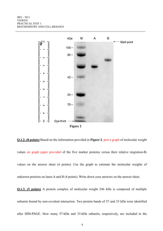 IBO – 2011
TAIWAN
PRACTICAL TEST 1
BIOCHEMISTRY AND CELL BIOLOGY
8
Figure 2
Q.1.2. (8 points) Based on the information provided in Figure 2, plot a graph of molecular weight
values on graph paper provided of the five marker proteins versus their relative migration-Rf
values on the answer sheet (4 points). Use the graph to estimate the molecular weights of
unknown proteins on lanes A and B (4 points). Write down your answers on the answer sheet.
Q.1.3. (5 points) A protein complex of molecular weight 246 kDa is composed of multiple
subunits bound by non-covalent interaction. Two protein bands of 57 and 33 kDa were identified
after SDS-PAGE. How many 57-kDa and 33-kDa subunits, respectively, are included in the
 