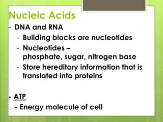 Nucleic AcidsDNA and RNA