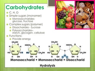 CarbohydratesC, H, OSimple sugars (monomer)Monosaccharides-  glucose, fructoseComplex sugars (polymer)Dissacharides - SucrosePolysaccharides– starch, glycogen, celluloseFunctions:Provide energy Monosaccharid + Monosaccharid = DisaccharidHydrolysis