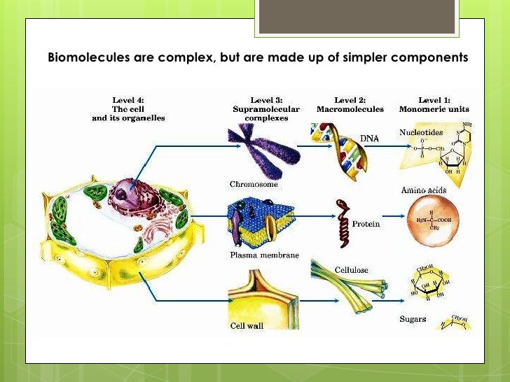 Biochemistry and nutrition 2011