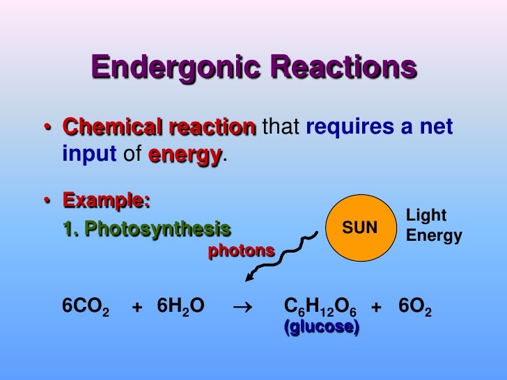 Biochemistry Bioenergetics