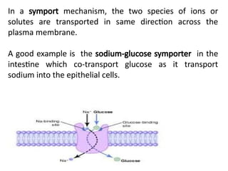 complete Biochemistry CELL BIOLOGY_090135.pptx