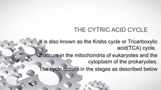 BIOCHEMISTRY GROUP 2-1.pptx, cytric acid cycle | PPTX