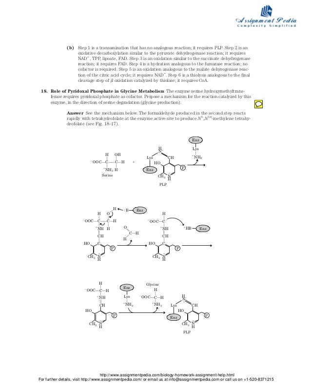 Biochemistry homework help