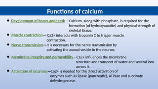 Biological Importance and Functions of Calcium and Iron in Human Health ...