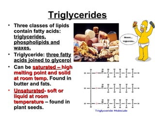 Triglyceride Classification Biochemistry | PPT
