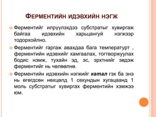ФЕРМЕНТИЙН ИДЭВХИЙН НЭГЖ
Ферментийг илрүүлэхдээ субстратыг хувиргаж
байгаа
идэвхийн
харьцангуй
нэгжээр
тодорхойлно.
 Ферментийг гаргаж авахдаа бага температурт ,
ферментийн идэвхийг хамгаалах, тогтворжуулах
бодис нэмж, тухайн эд, эс, эрхтнийг эвдэж
ферментийг нь чөлөөлнө.
 Ферментийн идэвхийн нэгжийг катал гэх ба энэ
нь өгөгдсөн нөхцөлд 1 секундын хугацаанд 1
моль субстратыг хувиргах ферментийн хэмжээ
юм.


 