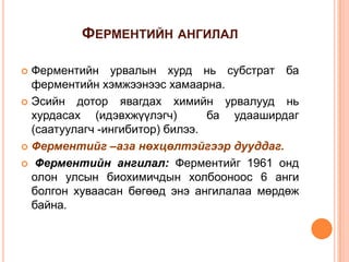 ФЕРМЕНТИЙН АНГИЛАЛ
Ферментийн урвалын хурд нь субстрат ба
ферментийн хэмжээнээс хамаарна.
 Эсийн дотор явагдах химийн урвалууд нь
хурдасах (идэвхжүүлэгч)
ба удааширдаг
(саатуулагч -ингибитор) билээ.
 Ферментийг –аза нөхцөлтэйгээр дууддаг.
 Ферментийн ангилал: Ферментийг 1961 онд
олон улсын биохимичдын холбооноос 6 анги
болгон хуваасан бөгөөд энэ ангилалаа мөрдөж
байна.


 
