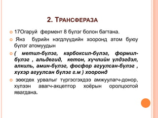 2. ТРАНСФЕРАЗА
17Огаруй фермент 8 бүлэг болон багтана.
 Янз
бүрийн нэгдлүүдийн хооронд атом буюу
бүлэг атомуудын
(
метил-бүлэг, карбоксил-бүлэг, формилбүлэг , альдегид, кетон, хүчлийн үлдэгдэл,
алкиль, амин-бүлэг, фосфор агуулсан-бүлэг ,
хүхэр агуулсан бүлэг г.м ) хооронд
 зөөгдөх урвалыг түргэсгэхдээ амжуулагч-донор,
хүлээн авагч-акцептор хоѐрын оролцоотой
явагдана.


 