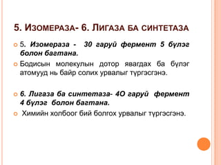 5. ИЗОМЕРАЗА- 6. ЛИГАЗА БА СИНТЕТАЗА
5. Изомераза - 30 гаруй фермент 5 бүлэг
болон багтана.
 Бодисын молекулын дотор явагдах ба бүлэг
атомууд нь байр солих урвалыг түргэсгэнэ.


6. Лигаза ба синтетаза- 4О гаруй фермент
4 бүлэг болон багтана.
 Химийн холбоог бий болгох урвалыг түргэсгэнэ.


 