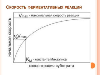 СКОРОСТЬ ФЕРМЕНТАТИВНЫХ РЕАКЦИЙ

 