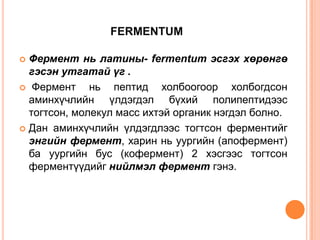 FERMENTUM
Фермент нь латины- fermentum эсгэх хөрөнгө
гэсэн утгатай үг .
 Фермент
нь пептид холбоогоор холбогдсон
аминхүчлийн үлдэгдэл бүхий полипептидээс
тогтсон, молекул масс ихтэй органик нэгдэл болно.
 Дан аминхүчлийн үлдэгдлээс тогтсон ферментийг
энгийн фермент, харин нь уургийн (апофермент)
ба уургийн бус (кофермент) 2 хэсгээс тогтсон
ферментүүдийг нийлмэл фермент гэнэ.


 