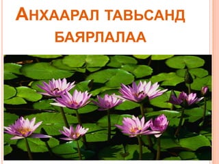 АНХААРАЛ ТАВЬСАНД
БАЯРЛАЛАА

 