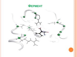 ФЕРМЕНТ

 
