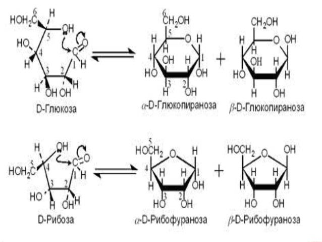 Biochemistry l 3