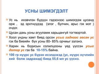 УСНЫ ШИМЭГДЭЛТ
Ус нь ихэвчлэн бүдүүн гэдэснээс шимэгдэж цусанд
орж , эд эрхтнүүдэд (элэг , булчин, арьс гэх мэт )
очдог.
 Цусан дахь усны агууламж харьцангүй тогтвортой.
 Хоол ундны хамт биед орсон усыг гаднаас авсан ус
гэх ба биеийн бүх усны 80- 85% орчмыг эзлэнэ.
 Харин нь бодисын солилцооны үед үүссэн усыг
дотор ус гэх ба 10-15% байна.
 100 гр нүүрс ус бүрэн исэлдэхэд (ус, нүүрс хүчлийн
хий болж задрахад) биед 55,6 мл ус үүснэ.


 