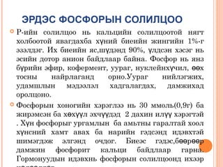 ЭРДЭС ФОСФОРЫН СОЛИЛЦОО
Р-ийн солилцоо нь кальцийн солилцоотой нягт
холбоотой явагдахба хүний биеийн жингийн 1%-г
эзэлдэг. Их биеийн яс,шүдэнд 90%, үлдсэн хэсэг нь
эсийн дотор анион байдлаар байна. Фосфор нь янз
бүрийн эфир, кофермент, уураг, нуклейнхүчил, өөх
тосны
найрлаганд
орно.Уураг
нийлэгжих,
удамшлын
мэдээлэл
хадгалагдах,
дамжихад
оролцоно.
 Фосфорын хоногийн хэрэглээ нь 30 ммоль(0,9г) ба
жирэмсэн ба хөхүүл эхчүүдэд 2 дахин илүү хэрэгтэй
. Хүн фосфорыг ургамлын ба амьтны гаралтай хоол
хүнсний хамт авах ба нарийн гэдсэнд идэвхтэй
шимэгдэж элгэнд очдог. Биеэс гэдэс,бөөрөөр
дамжин фосфорит кальци байдлаар гарна.
Гормонуудын идэвхнь фосфорын солилцоонд ихээр


 