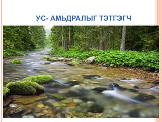 УС- АМЬДРАЛЫГ ТЭТГЭГЧ

 