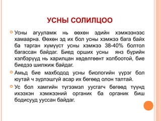 УСНЫ СОЛИЛЦОО
Усны агууламж нь өөхөн эдийн хэмжээнээс
хамаарна. Өөхөн эд их бол усны хэмжээ бага байх
ба тарган хүмүүст усны хэмжээ 38-40% болтол
багассан байдаг. Биед орших усны янз бүрийн
хэлбэрүүд нь харилцан хөдөлгөөнт холбоотой, бие
биедээ шилжиж байдаг.
 Амьд бие махбодод усны биологийн үүрэг бол
юутай ч зүрлэшгүй асар их бөгөөд олон талтай.
 Ус бол хамгийн түгээмэл уусгагч бөгөөд түүнд
ихээхэн хэмжээний органик ба органик биш
бодисууд ууссан байдаг.


 