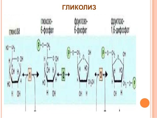 Biochemistry l 8