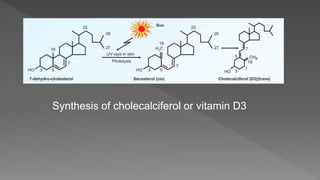 Synthesis of cholecalciferol or vitamin D3
 