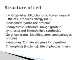  4. Organelles: Mitochondria: Powerhouse of
the cell, produces energy (ATP).
Ribosomes: Synthesize proteins.
Endoplasmic Reticulum: Rough (protein
synthesis) and Smooth (lipid synthesis).
Golgi Apparatus: Modifies, sorts, and packages
proteins.
Lysosomes: Contain enzymes for digestion.
Chloroplasts (in plants): Site of photosynthesis.
Structure of cell
 