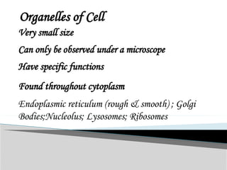Organelles of Cell
Very small size
Can only be observed under a microscope
Have specific functions
Found throughout cytoplasm
Endoplasmic reticulum (rough & smooth) ; Golgi
Bodies;Nucleolus; Lysosomes; Ribosomes
 