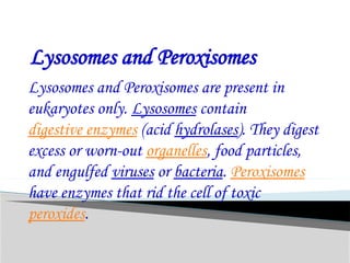 Lysosomes and Peroxisomes
Lysosomes and Peroxisomes are present in
eukaryotes only. Lysosomes contain
digestive enzymes (acid hydrolases). They digest
excess or worn-out organelles, food particles,
and engulfed viruses or bacteria. Peroxisomes
have enzymes that rid the cell of toxic
peroxides.
 