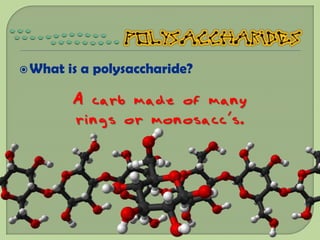  What   is a polysaccharide?

         A carb made of many
         rings or monosacc’s.
 